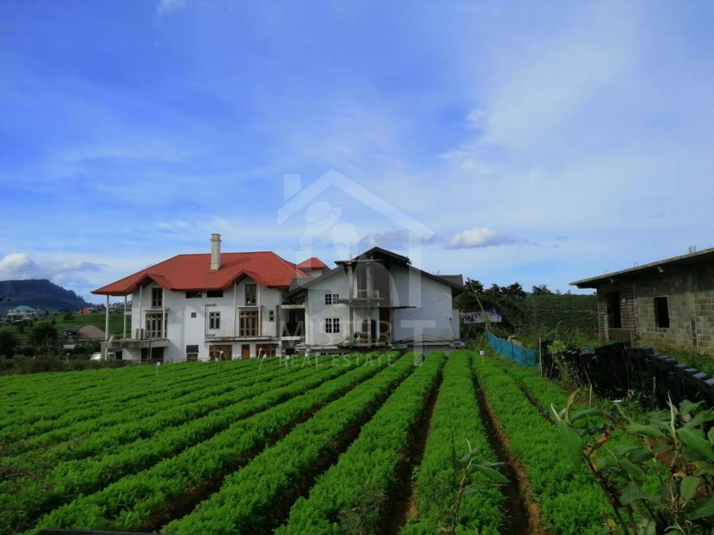 Land for Sale in Nuwera Eliya- image 1