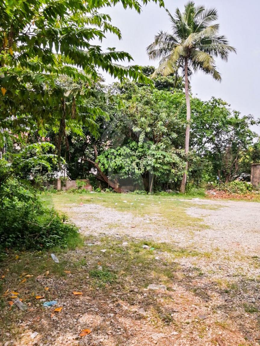 Land for Sale in Nawala- image 2