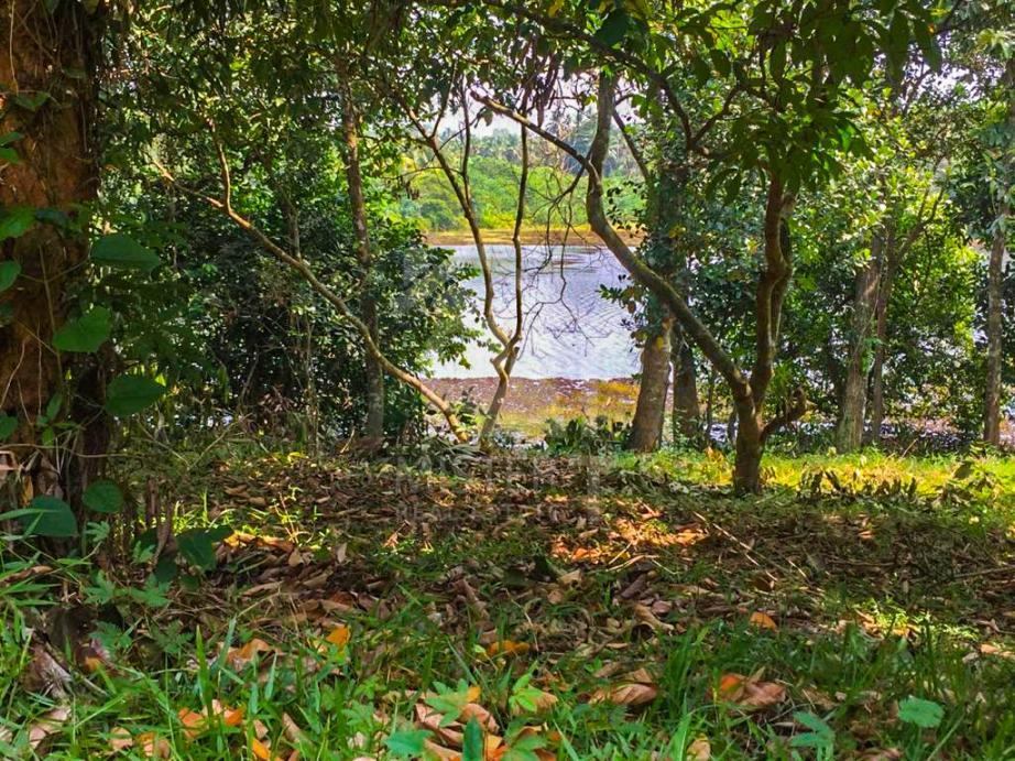 Land for Sale in Gampaha- image 2