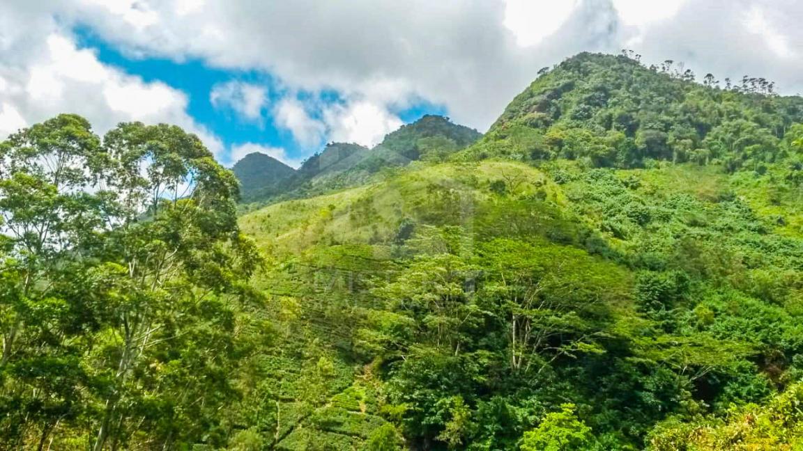 Land for Sale in Nortonbridge- image 2