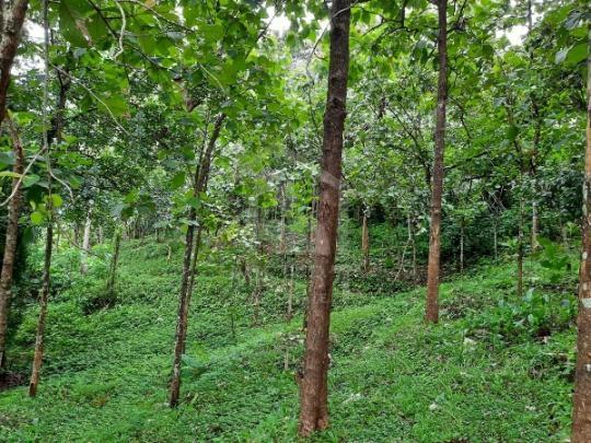 Land for Sale in Kaduwela- image 2