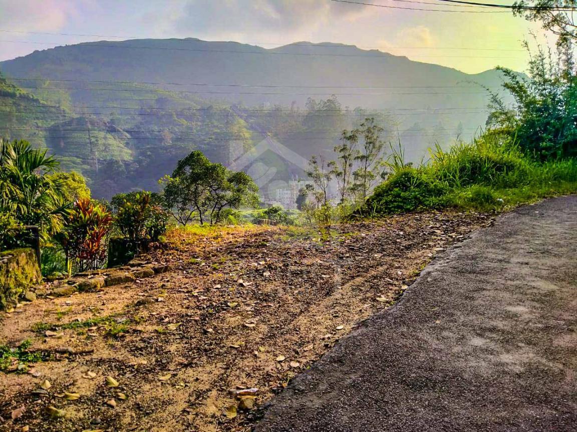 Land for Sale in Norton Bridge- image 2