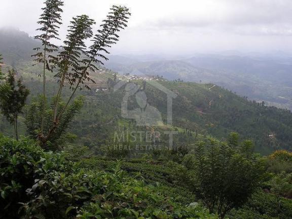 Land for Sale in Ratnapura - image 2