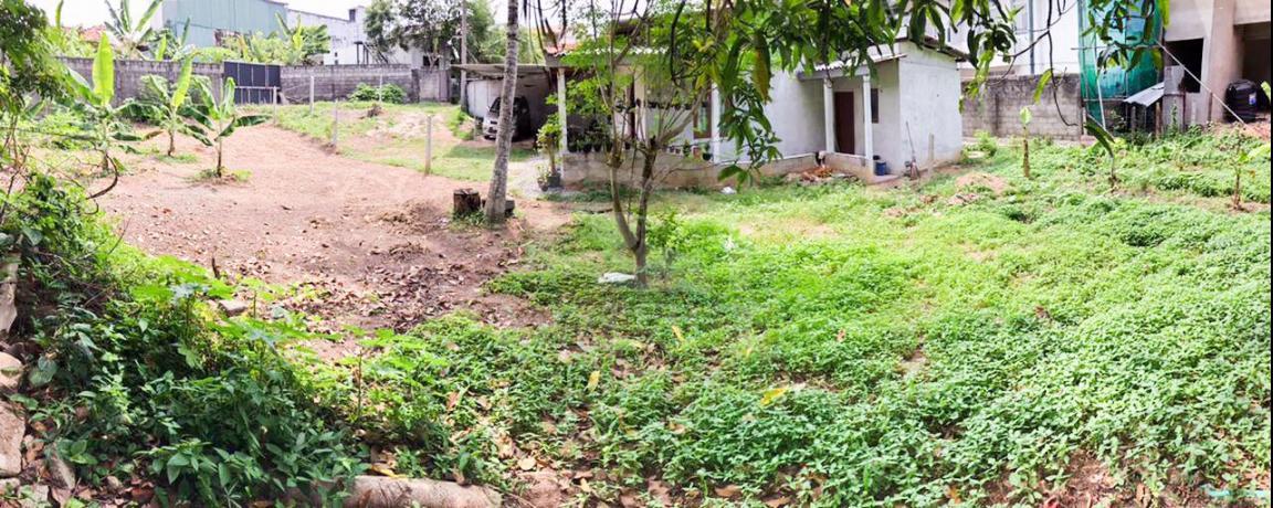Land for Sale in Kotte- image 2