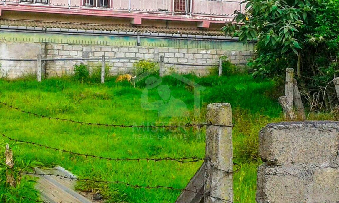 Land for Sale in Nuwara Eliya- image 2