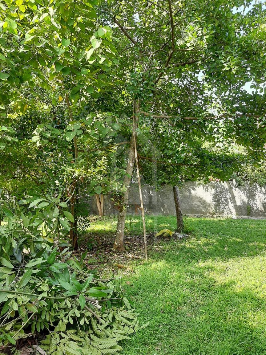 Land for Sale in Rajagiriya- image 2