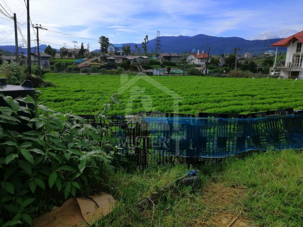 Land for Sale in Nuwera Eliya- image 2