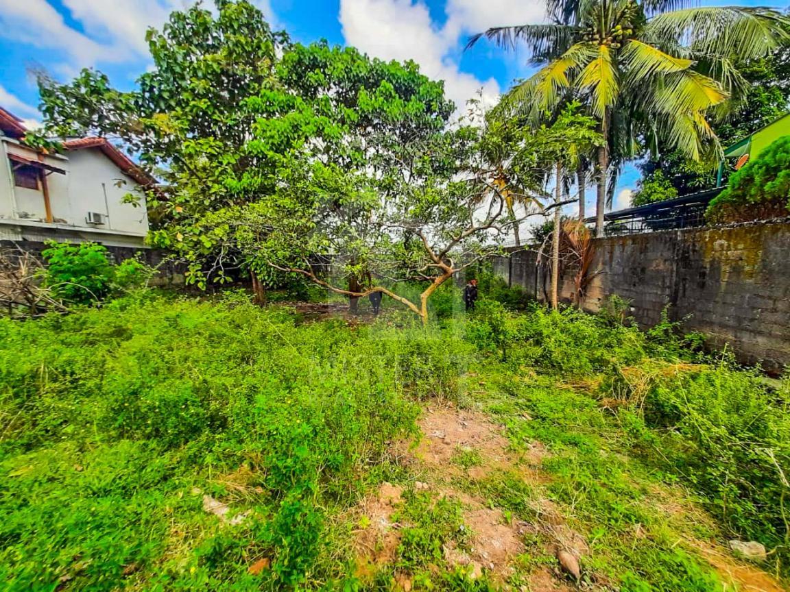 Land for Sale in Rajagiriya - image 2