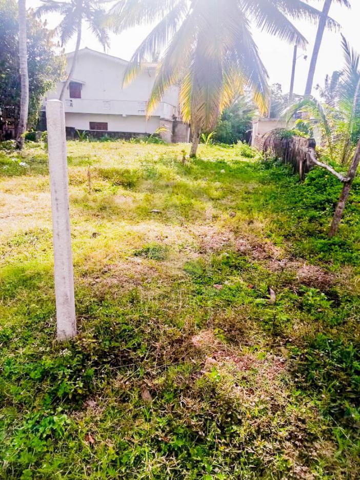 Land for Sale in Pagoda- image 3