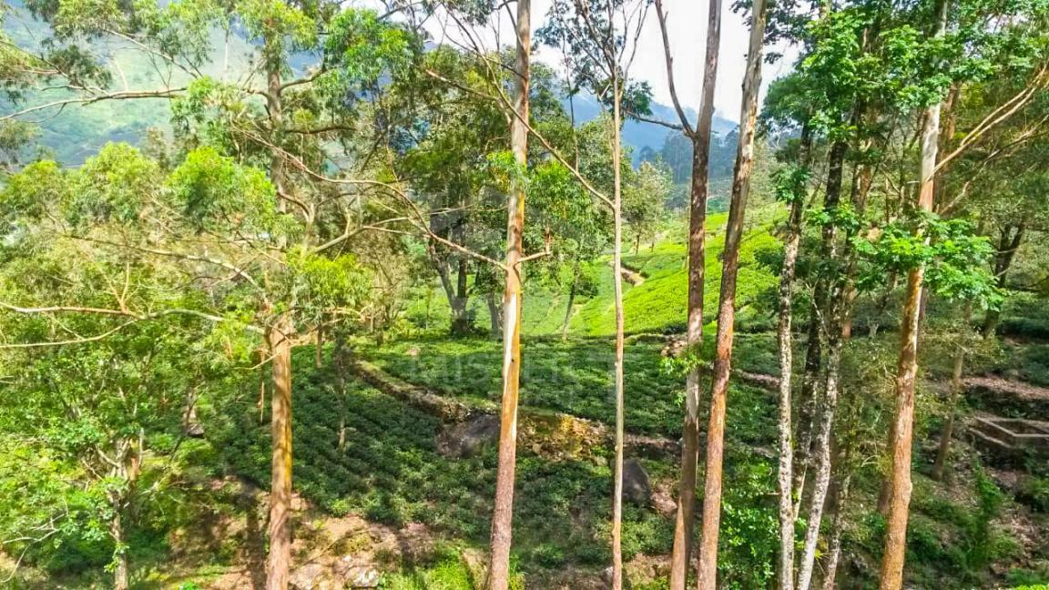 Land for Sale in Nortonbridge- image 3