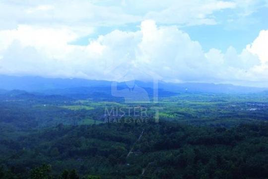 Land for Sale in Ratnapura - image 3