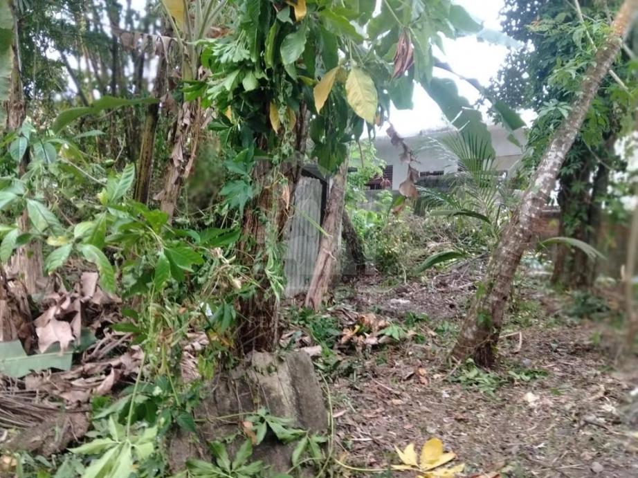 Land for Sale in Matara- image 3