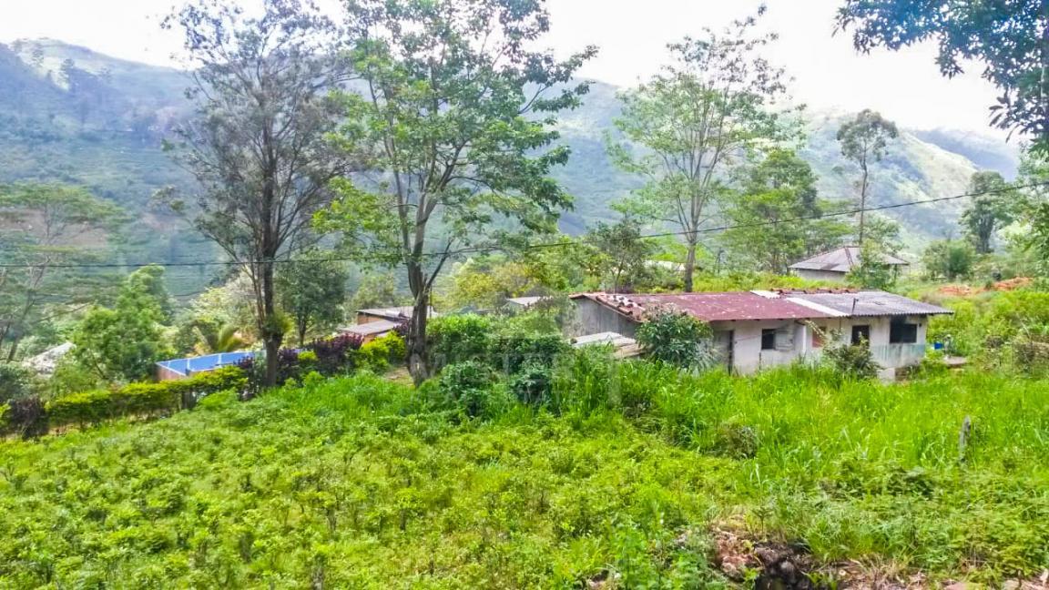 Land for Sale in Nortonbridge- image 4