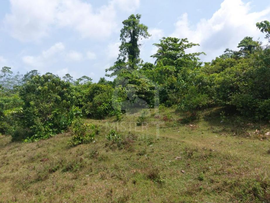 Land for Sale in Kalutara- image 4