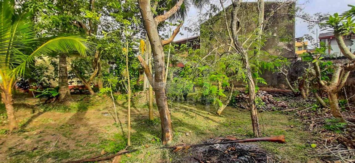 Land for Sale in Dehiwala- image 5