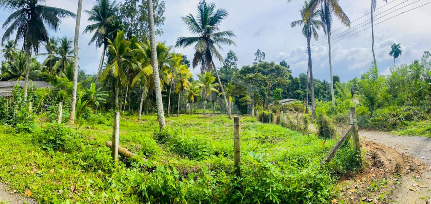 Land For Sale in Homagama image 1