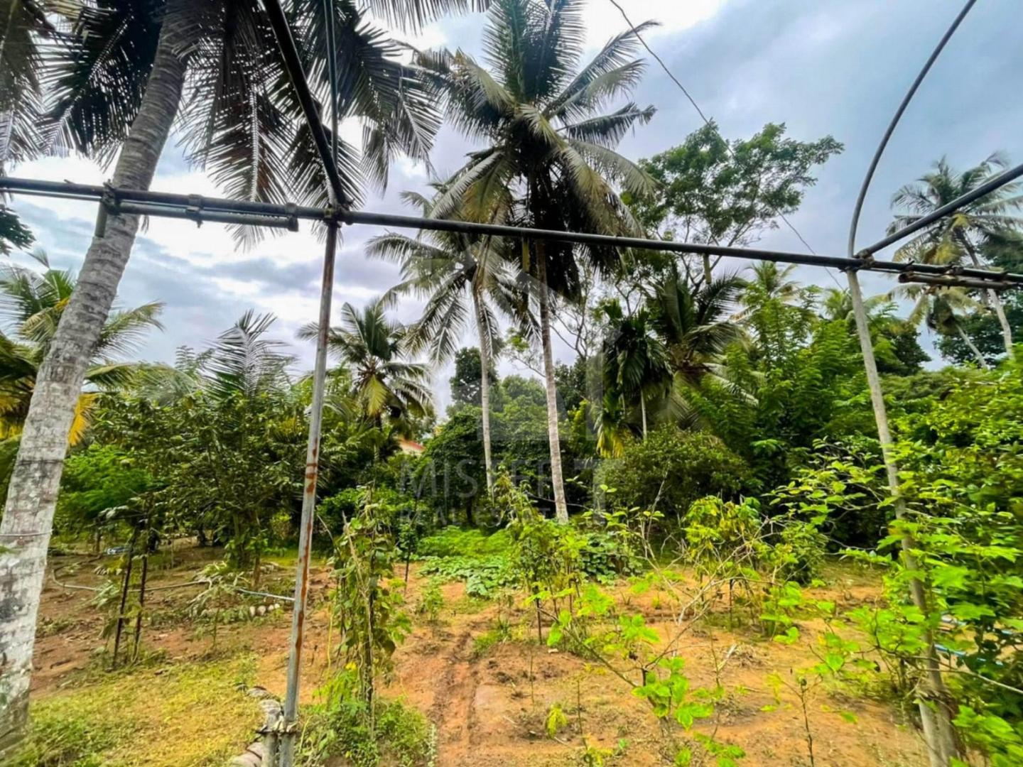 Land For Sale in Gampaha- image 1