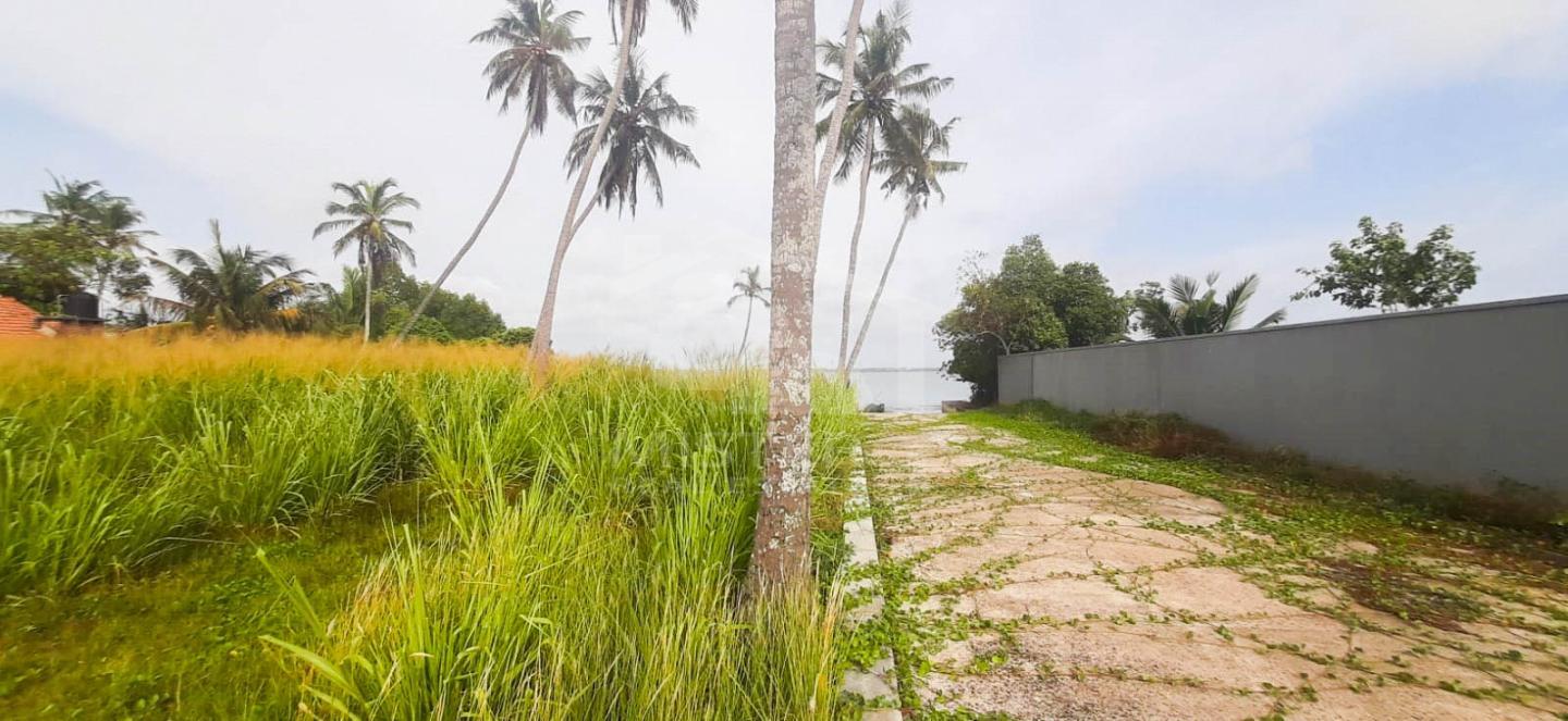 Land for Sale in Negombo- image 2