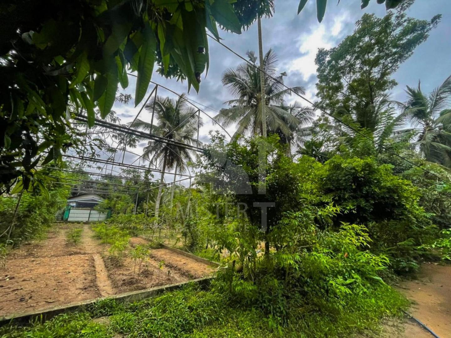 Land For Sale in Gampaha- image 2
