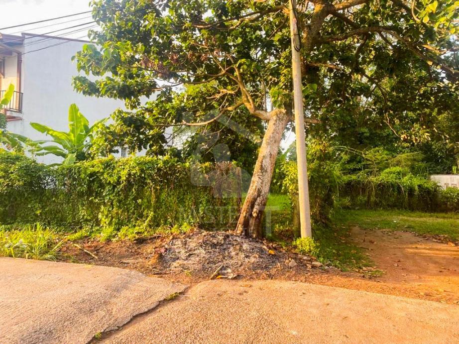 Land For Sale in Piliyandala- image 2