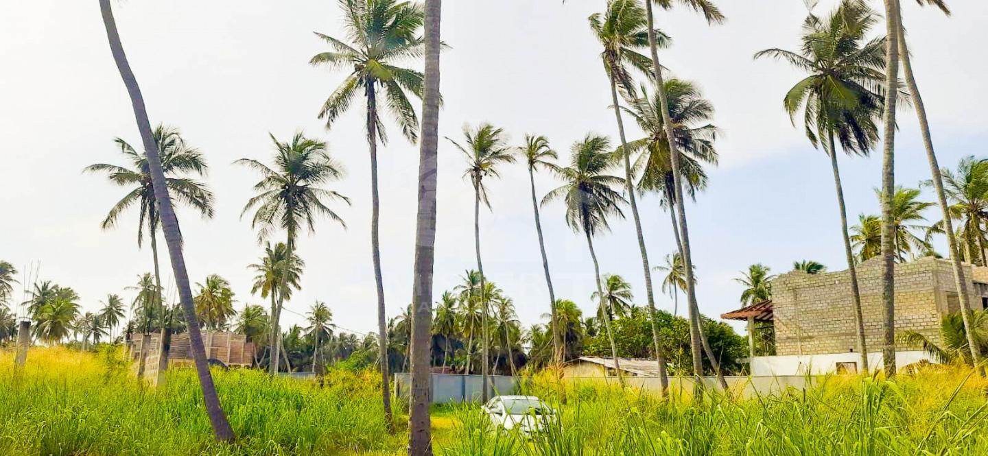 Land for Sale in Negombo- image 3