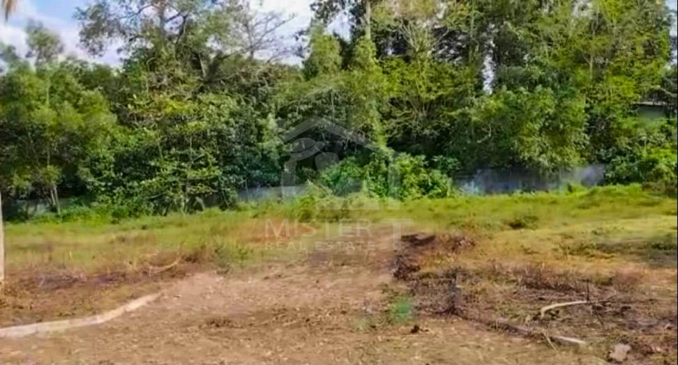 Land For Sale in Panadura- image 4