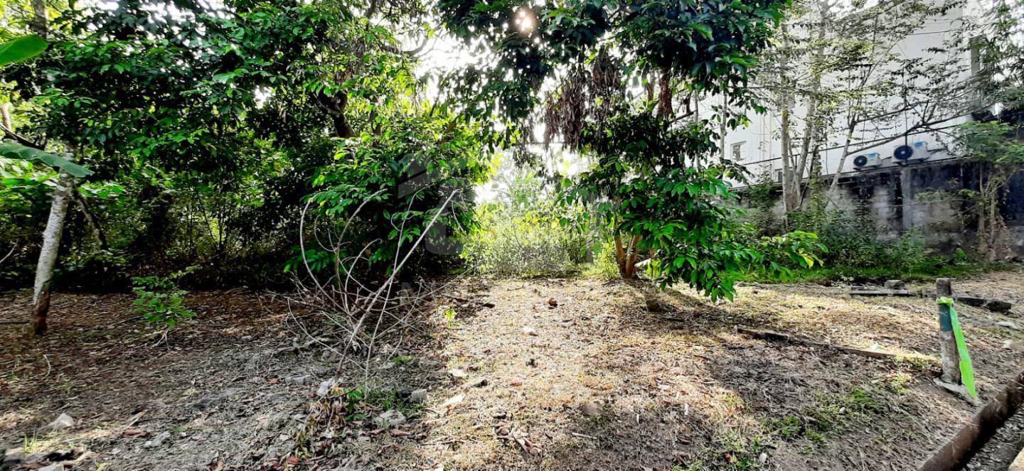Land for Sale  in Hokandara- image 1