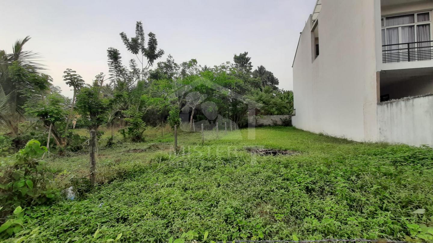 Land for Sale in Hokandara - image 1