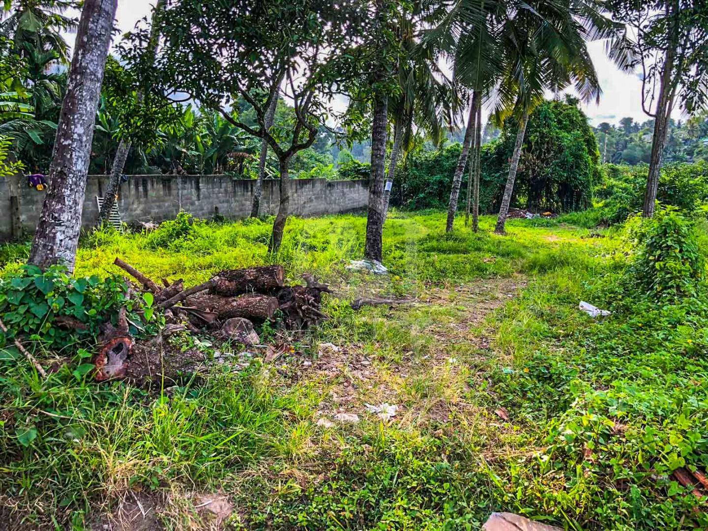 Land for Sale in - image 1