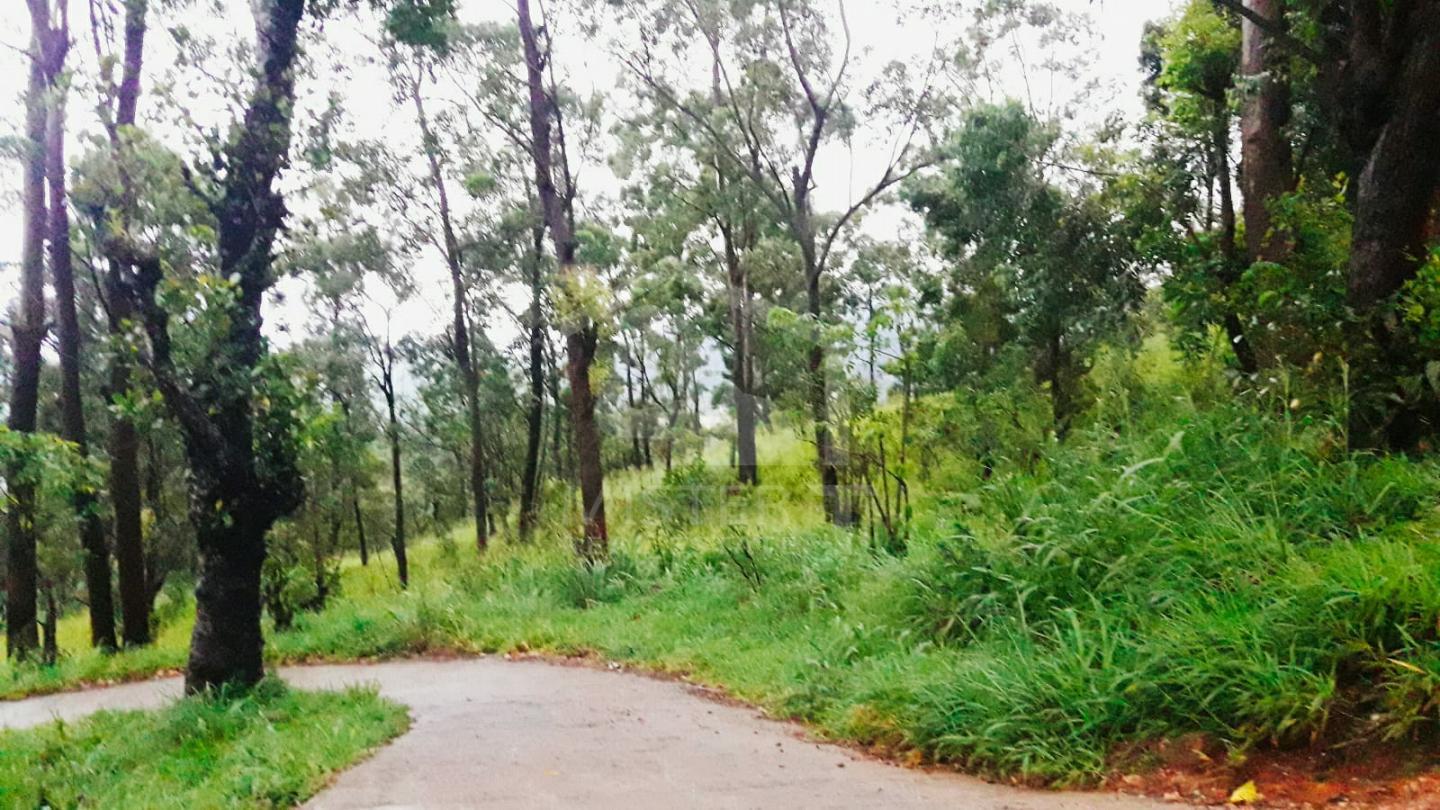 Land for Sale in Hanthana- image 1