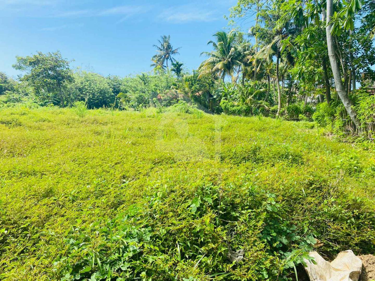 Land for Sale in Ahangama- image 1