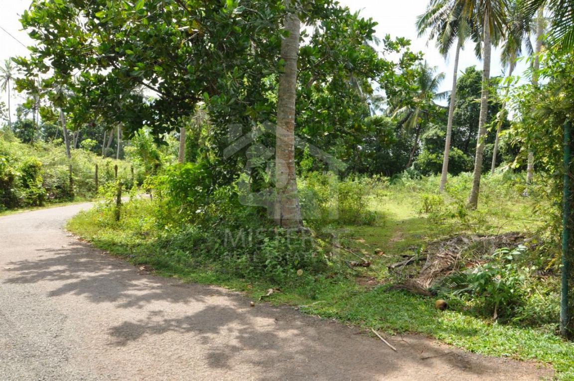 Land for Sale in Hikkaduwa - image 1