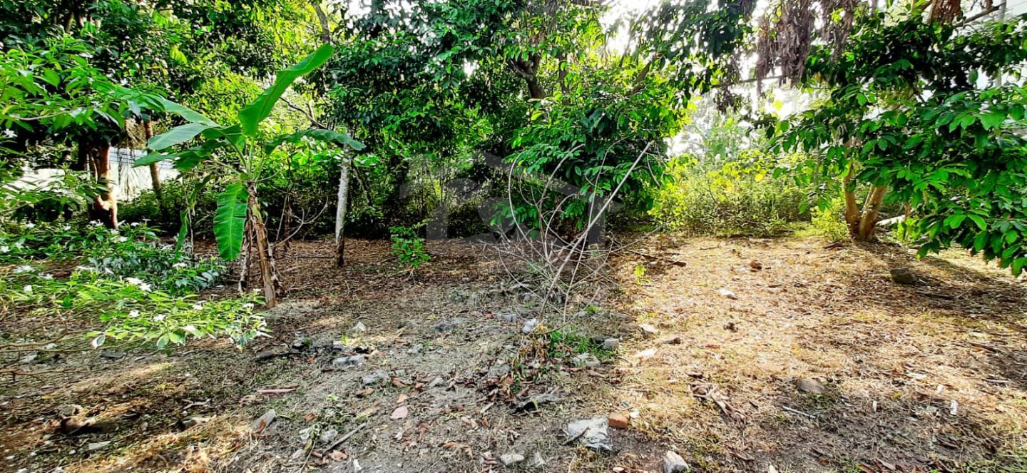 Land for Sale  in Hokandara- image 2