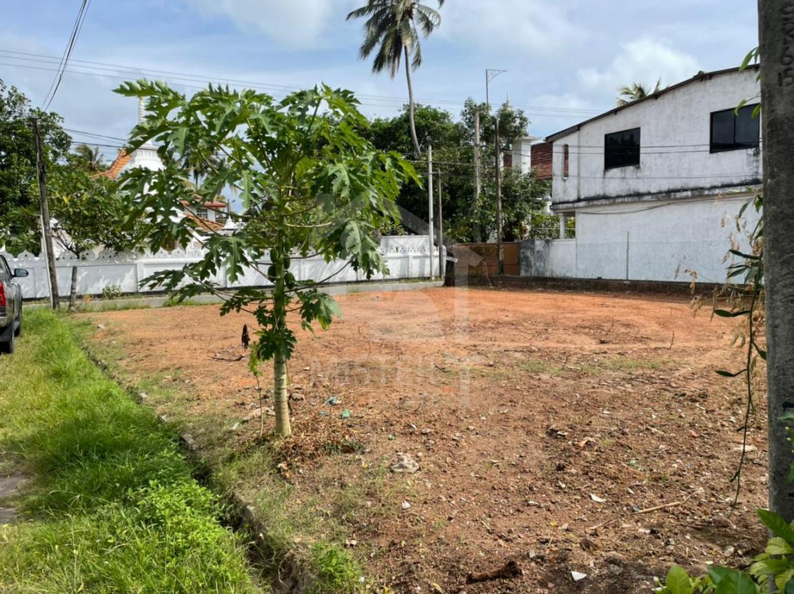 Land for sale in Mount Lavinia- image 2