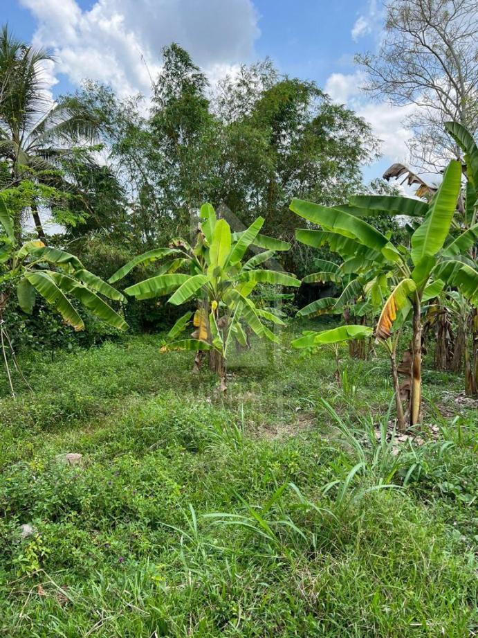 Land for Sale in Kiriwatthuduwa - image 2