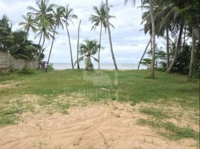 Land for Sale in Tangalle - image 2