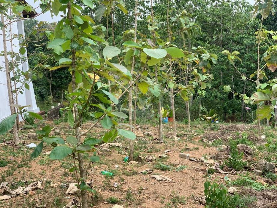 Land for Sale in Thalawathugoda - image 2