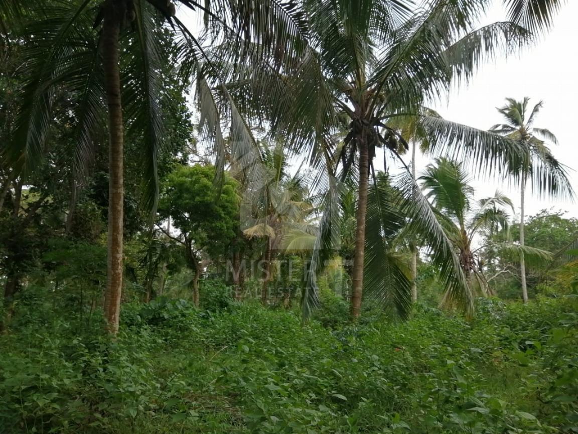 Land for Sale in Tangalle - image 2