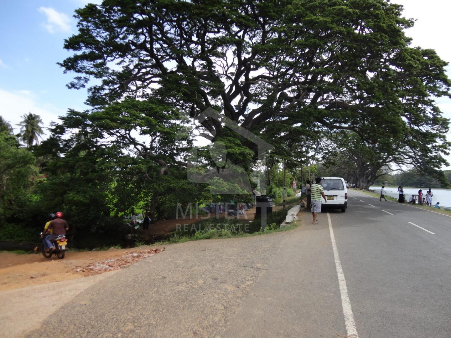 Land for Sale in Thissamaharama - image 3