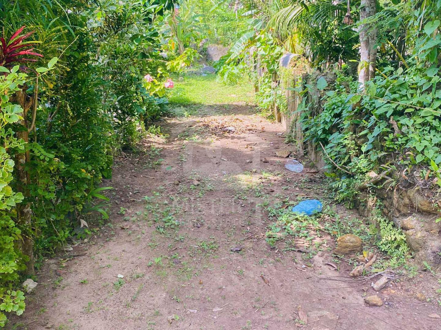 Land for Sale in Ahangama- image 3