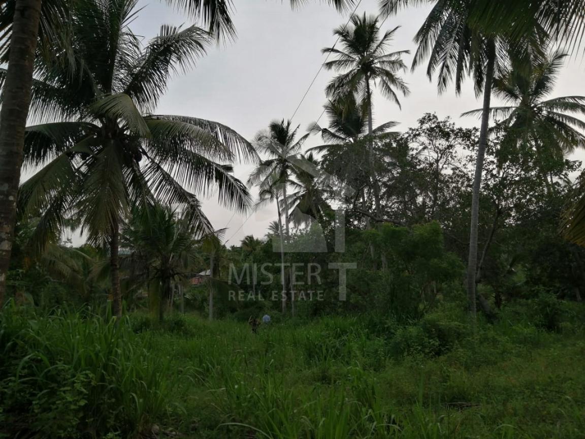 Land for Sale in Tangalle - image 3