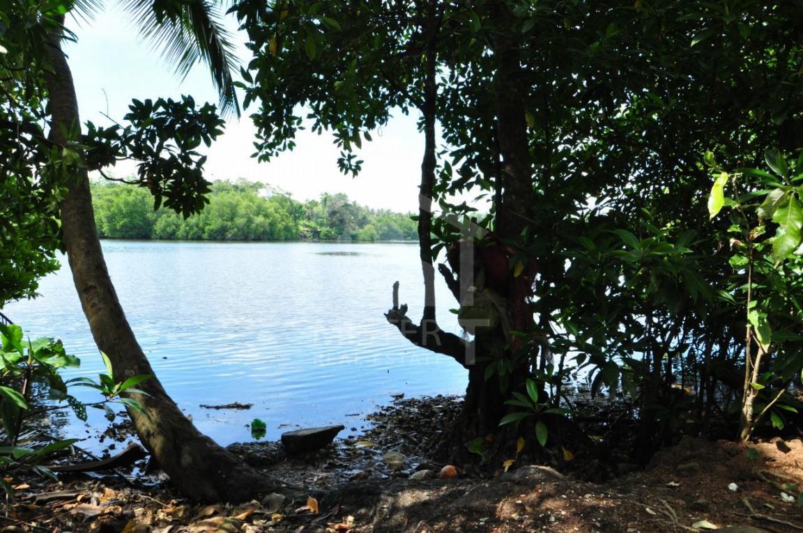 Land for Sale in Hikkaduwa - image 3