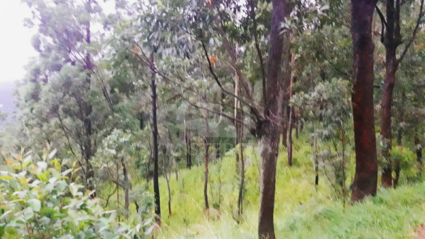 Land for Sale in Hanthana- image 4