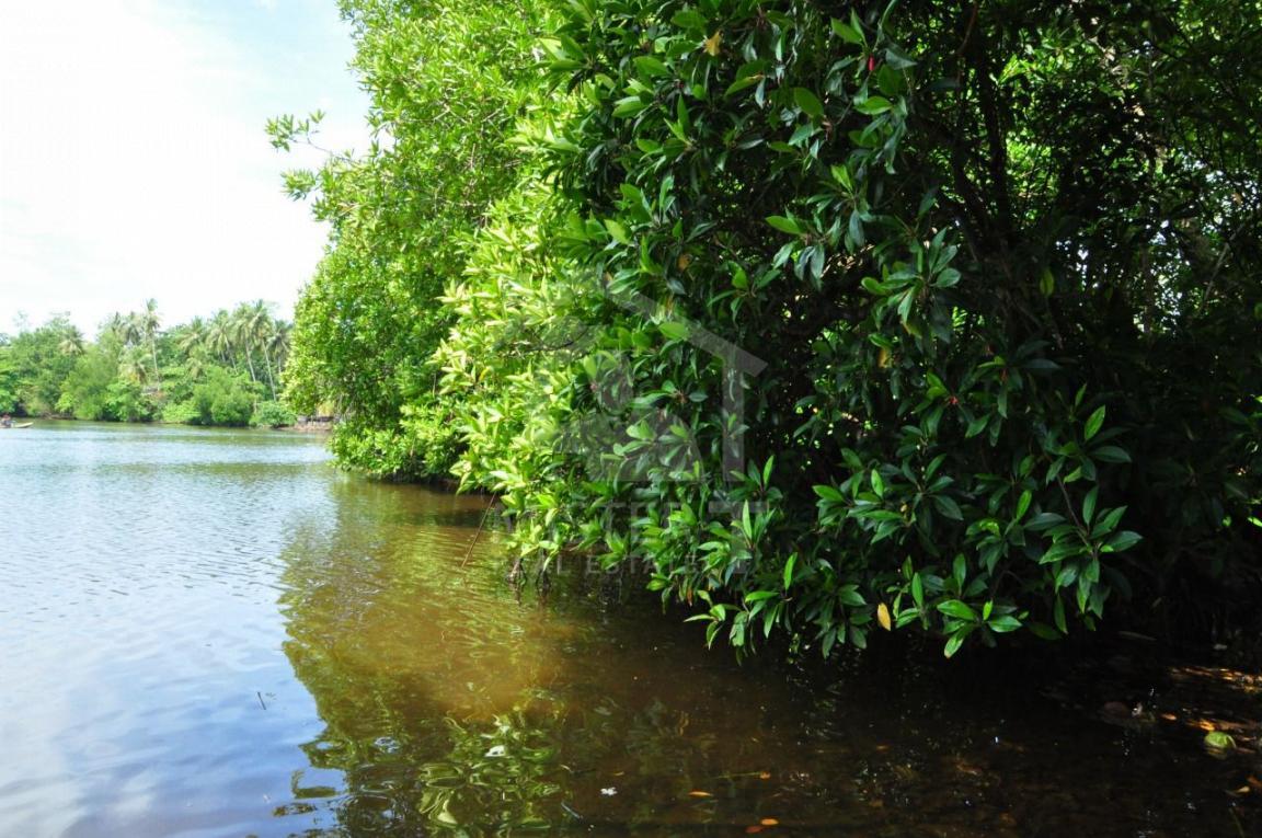Land for Sale in Hikkaduwa - image 4
