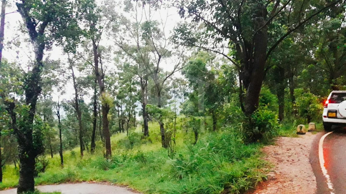 Land for Sale in Hanthana- image 5