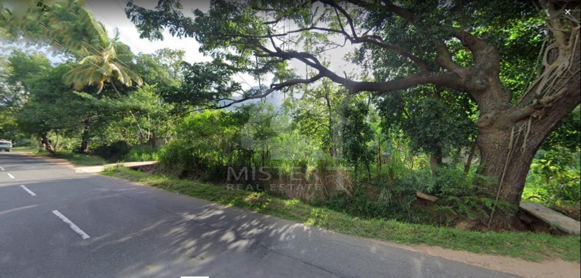 Land for Sale in Dambulla - image 5