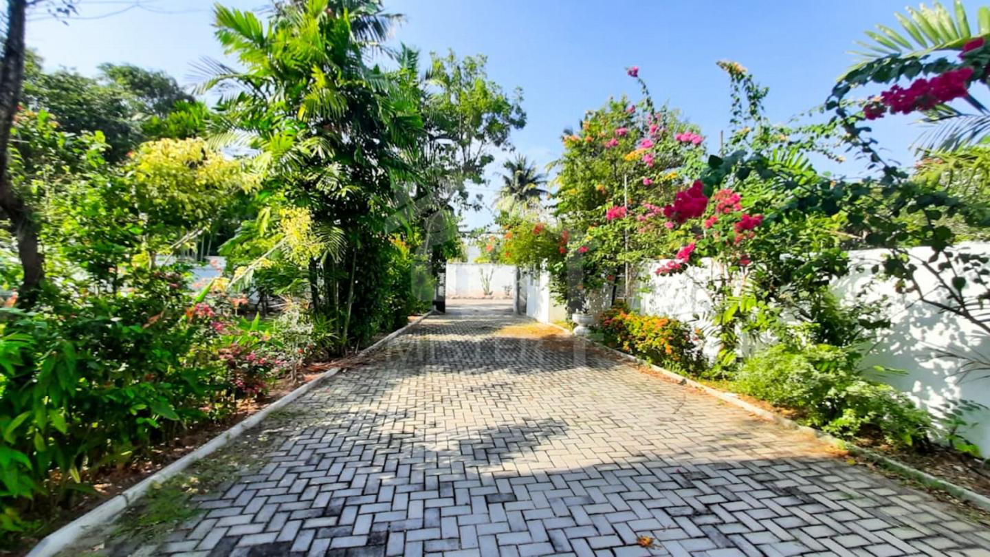 House for Rent in Colombo 05- image 10