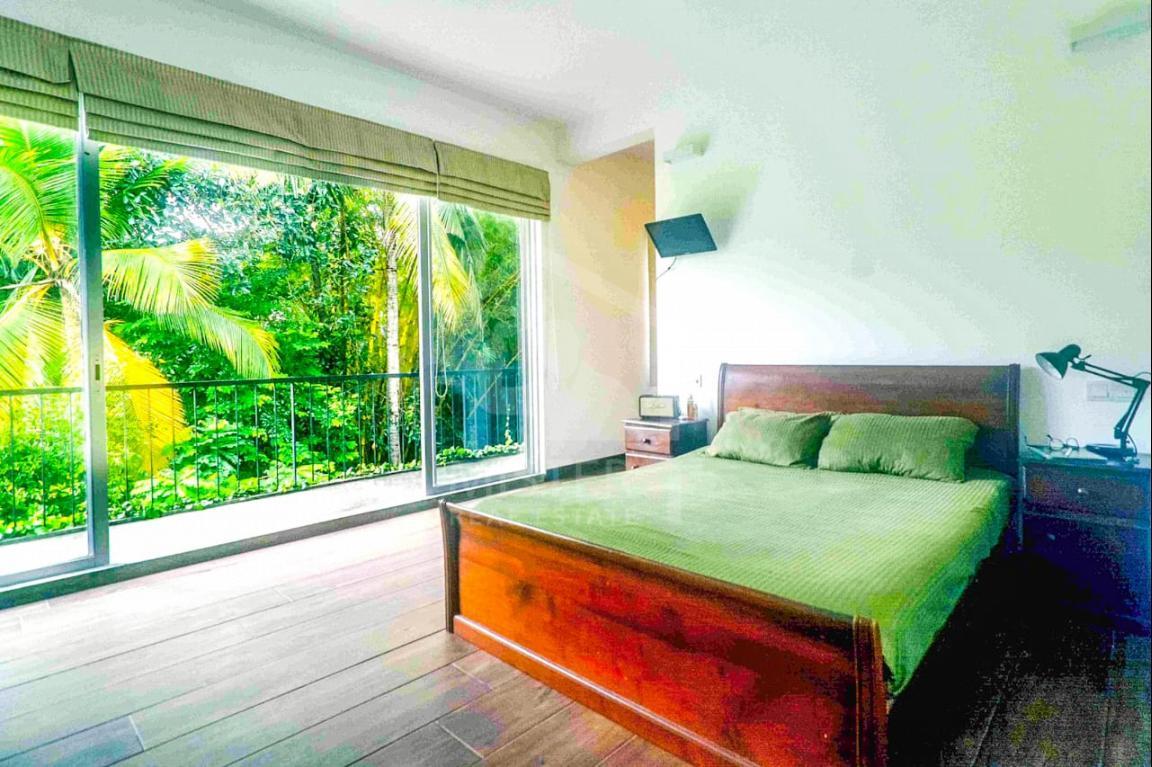 House for Rent in Pita Kotte- image 3