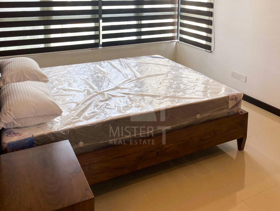 Apartment for Rent at Tri-Zen, Colombo 02- image 3