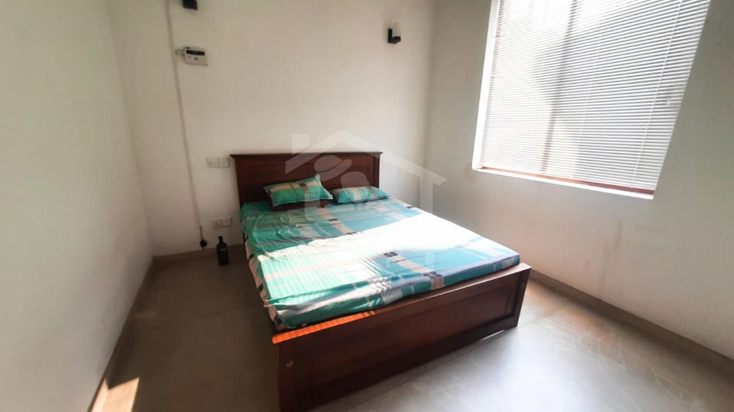 House for Rent in Colombo 05- image 5